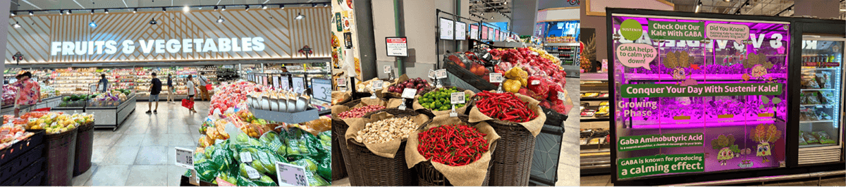 retailwisephpage1-1-1536x342